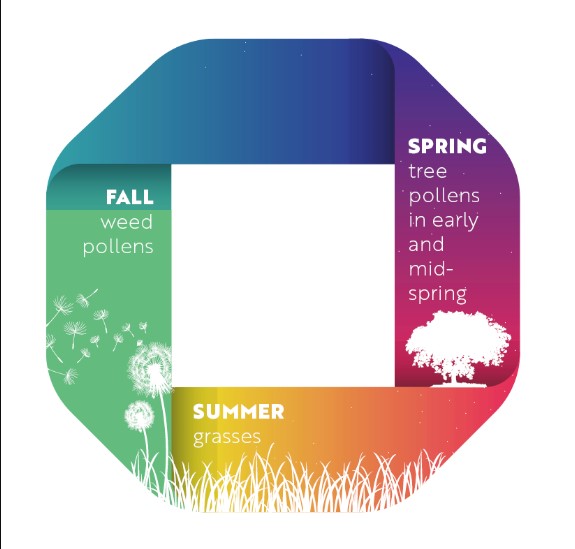 allergy seasons