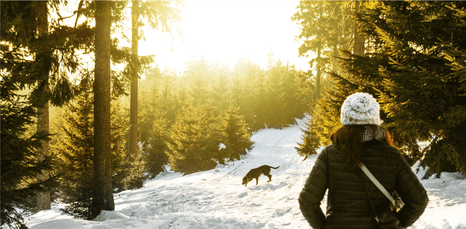 woman watching over pet dog playing in the snow